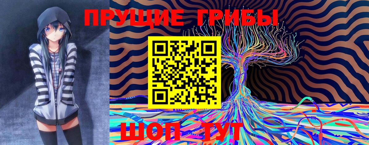 Михайловск  Псилоцибиновые грибы Magic Shrooms  Вход с VPN 